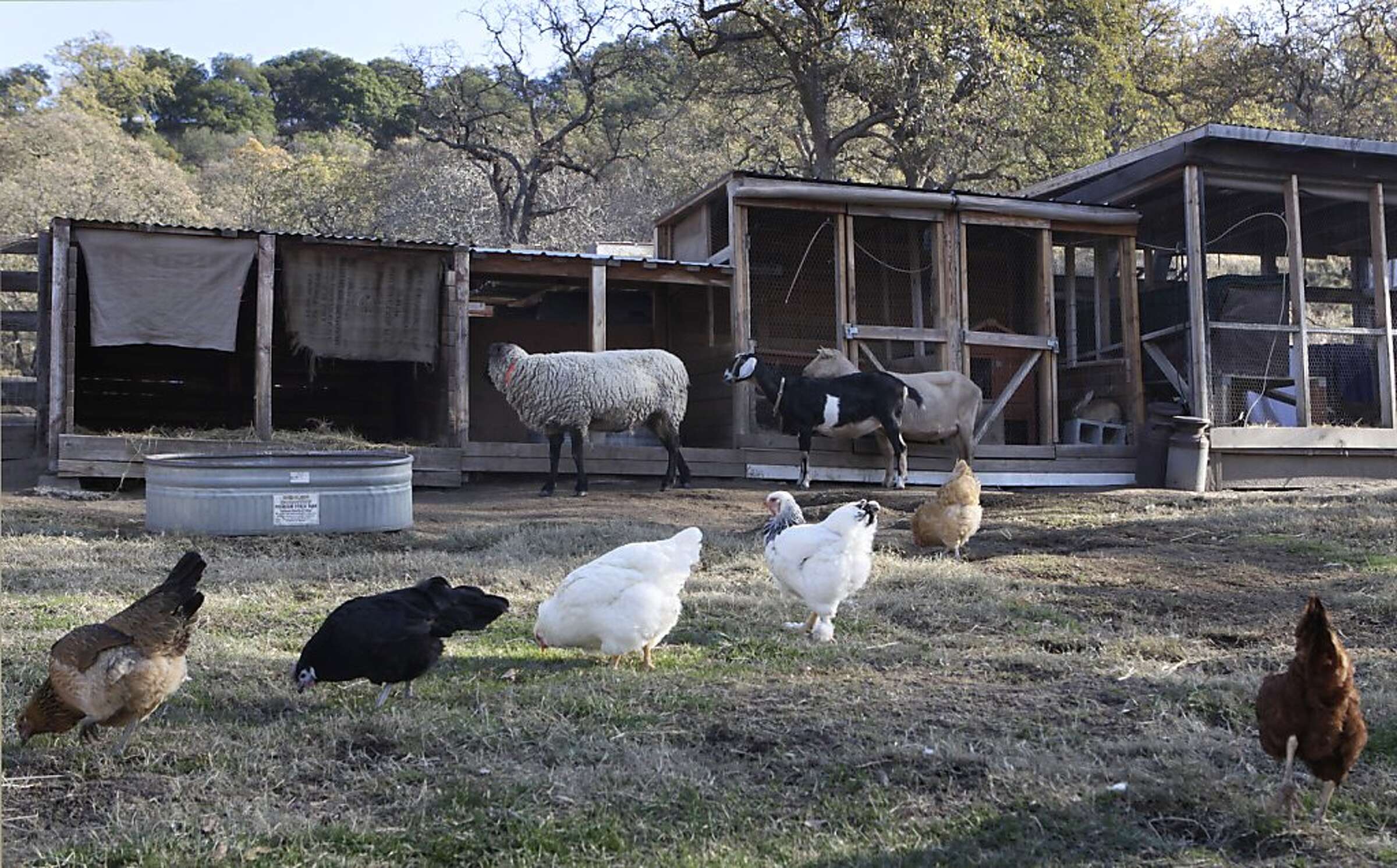 Borges Ranch to Castle Rock: Day hike full of variety