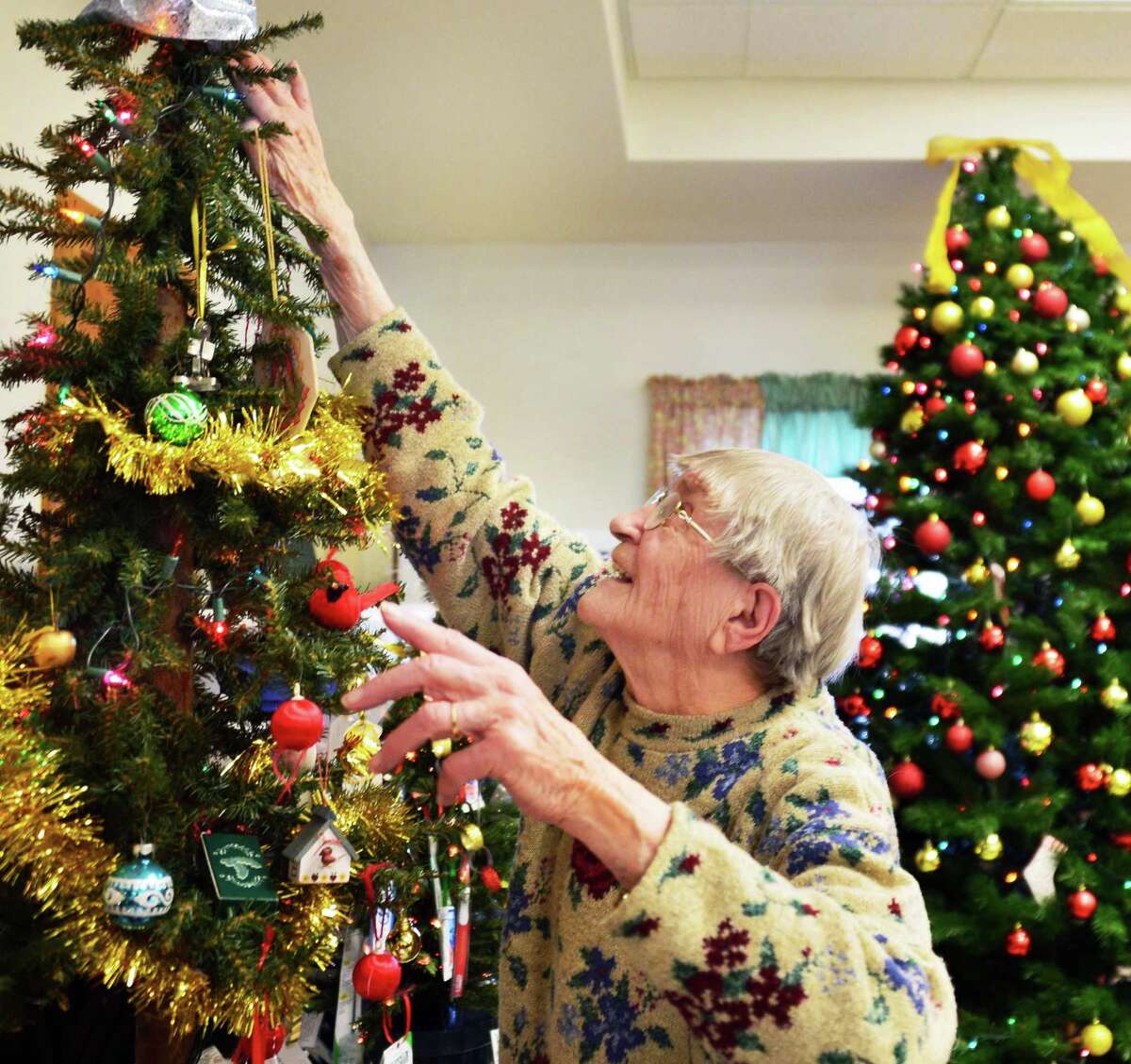 Photos Festival of trees in Grafton