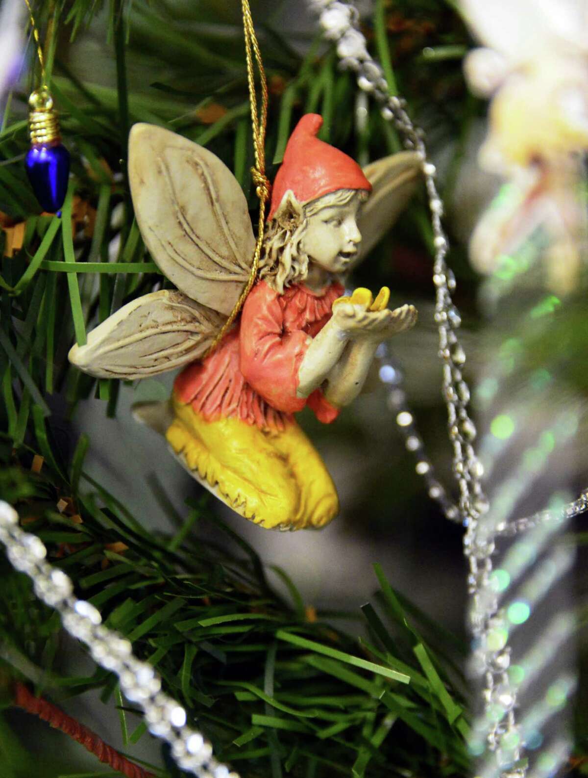 Photos Festival of trees in Grafton