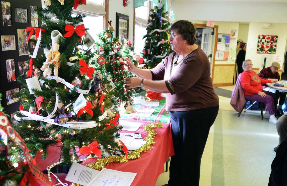 Photos Festival of trees in Grafton