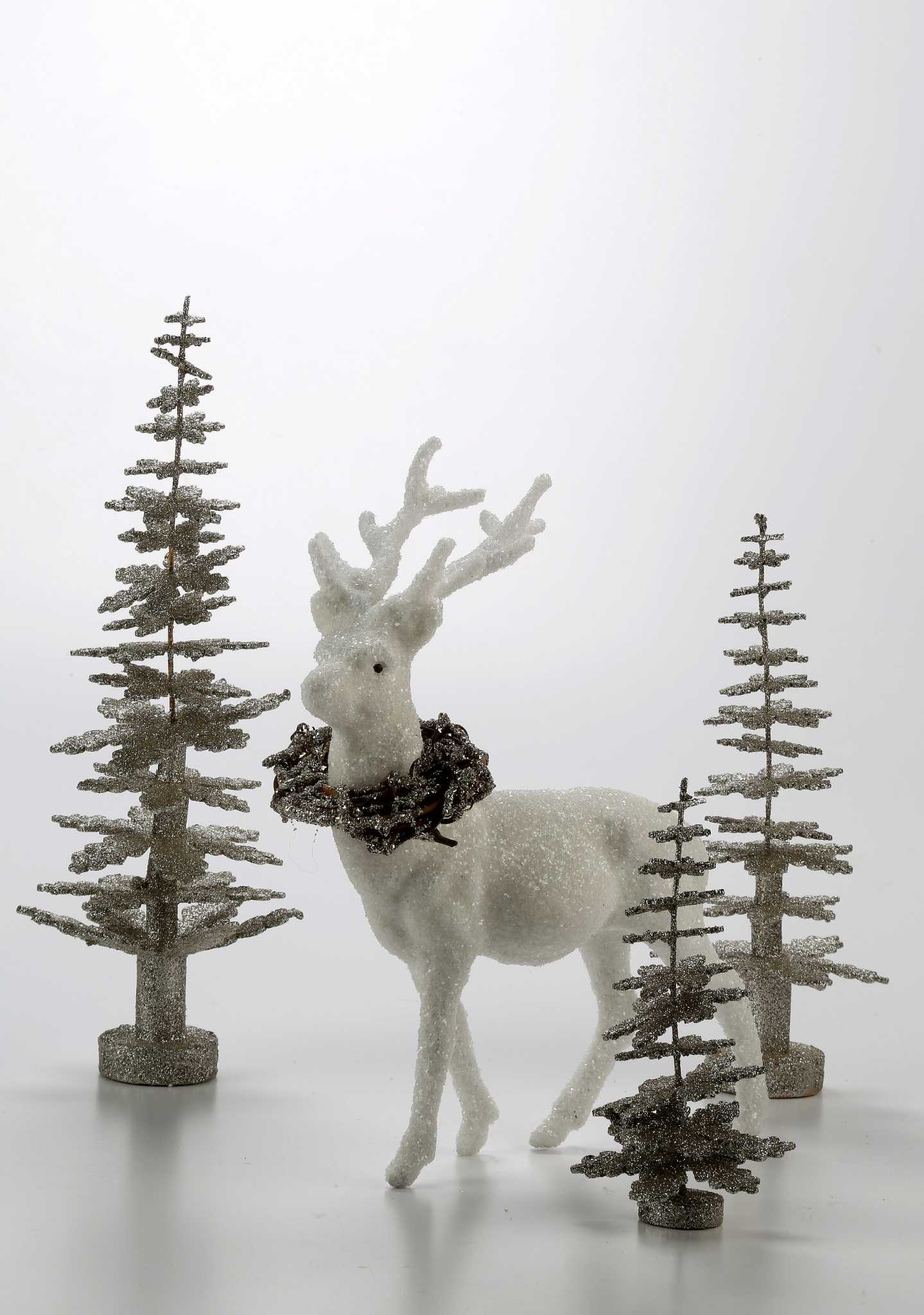 Help plants and trees survive the cold