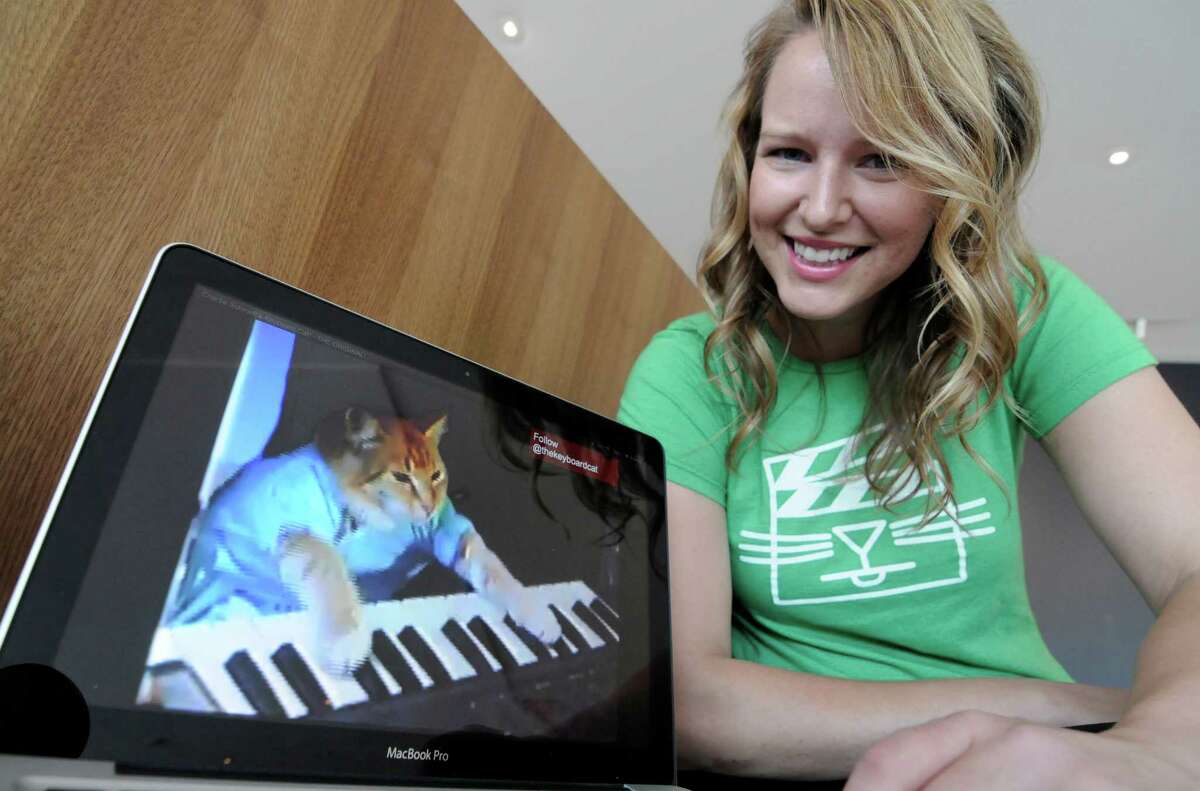Would you click on an image of a cat without knowing its source? Katie Hill, a program associate with the Walker Art Center in Minneapolis, shows a frame from a video of a cat with talent. Legitimate sources aren't seeking data, but phishing attackers try to get computer users to let down their guard through cute images.