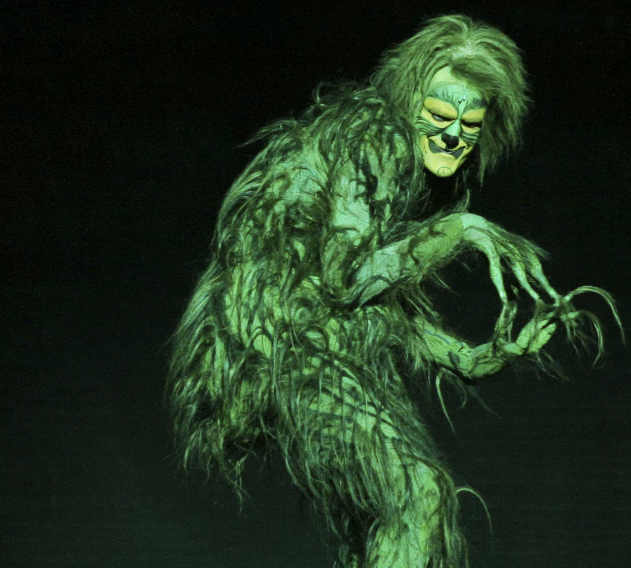 Spotlight 'How the Grinch Stole Christmas'