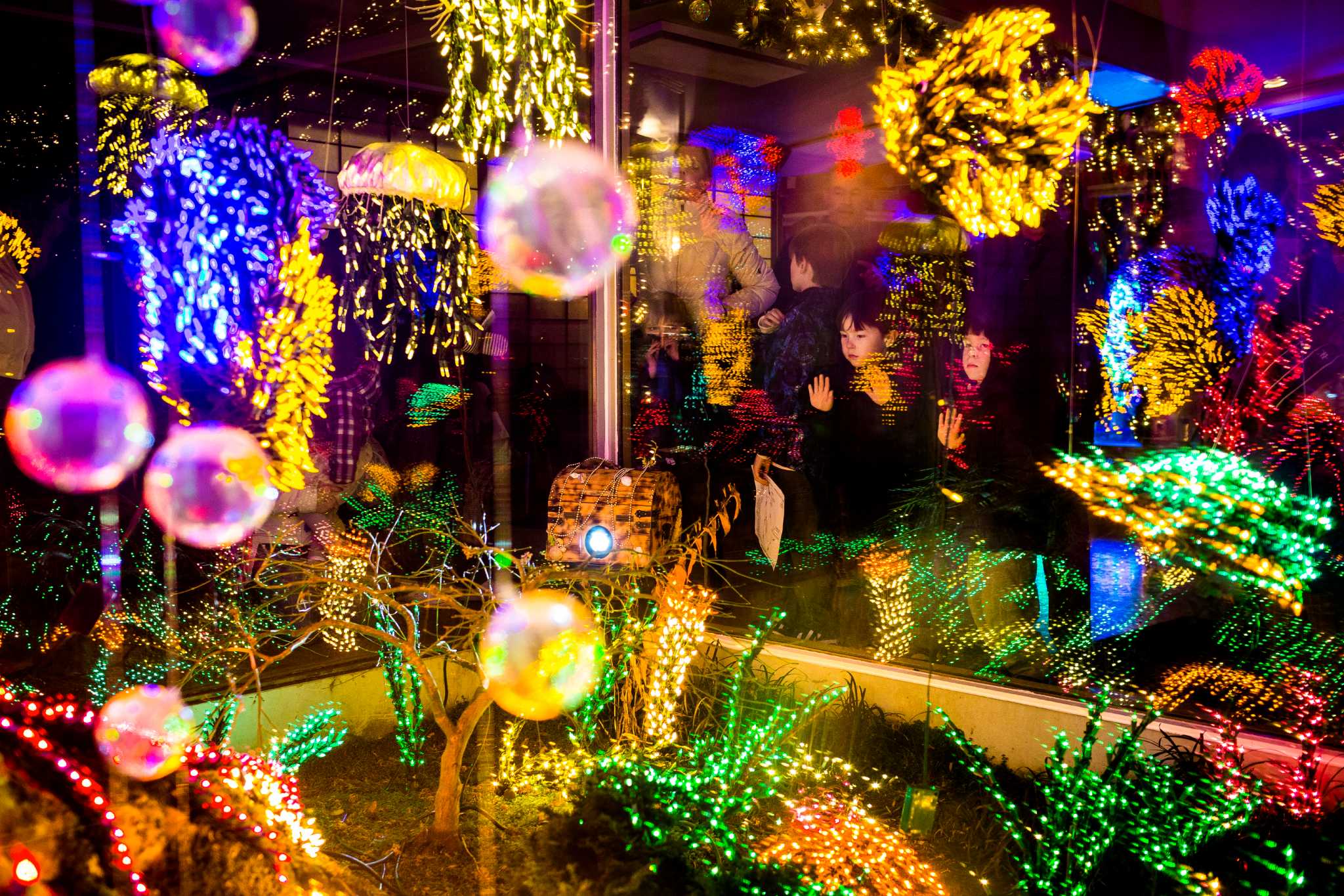 Garden d’Lights at the Bellevue Botanical Garden