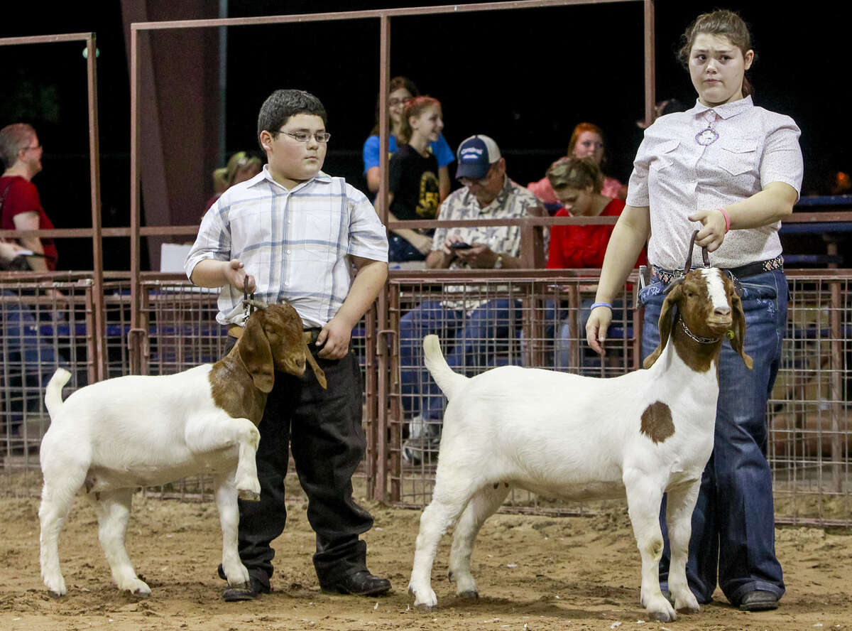 Amy Moran. right, a 17-year old senior at East Central, and Steven Moran, her 10-year-old brother, who attends Oak Crest Intermediate, exhibit two of their breeding goats at the 49th annual East Central show Dec. 20.
