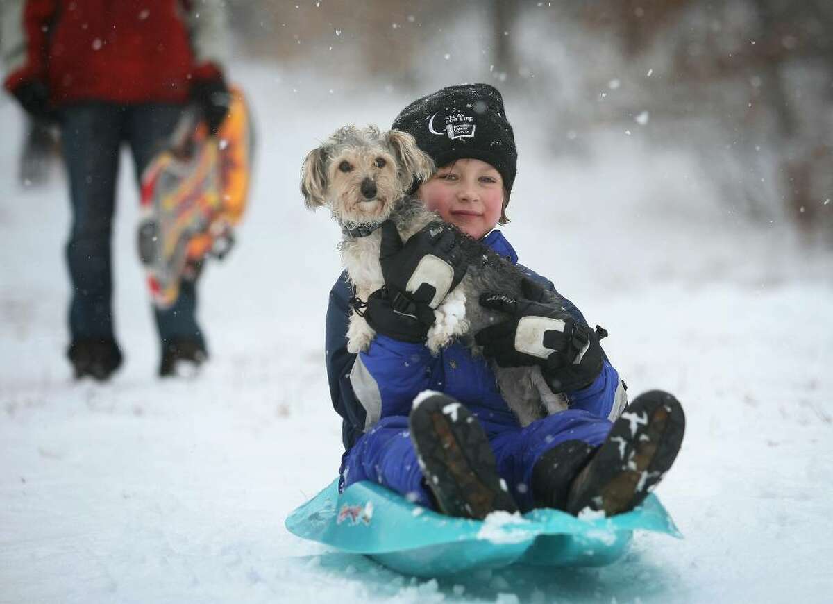 Max the dog looks on uncertainly as Anders Hebeler, 8, takes him for a ride down the sled hill at Twin Brooks Park in Trumbull.