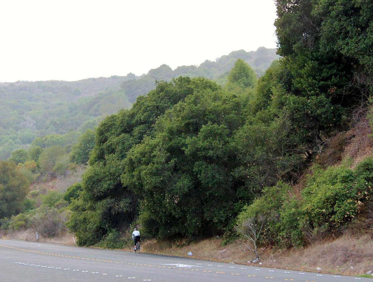 San Pablo Dam Road, El Sobrante