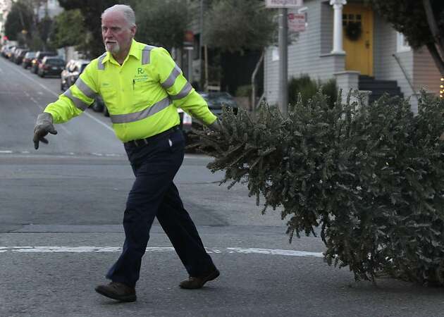 How to recycle your holiday tree in cities around the San Francisco Bay Area