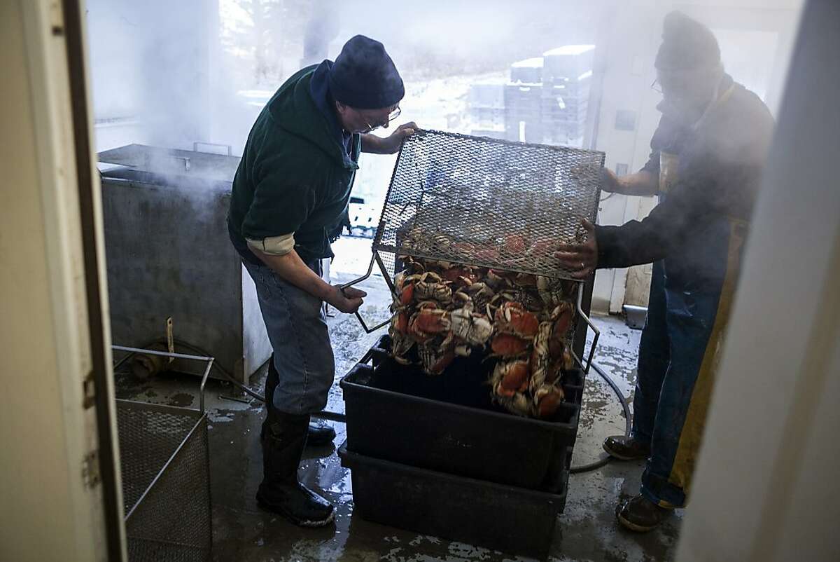 Glen Libby, a founder of a fisherman-owned seafood processing business Port Clyde Fresh Catch, and his brother, Gary, prepare a batch of crabs in Port Clyde, Maine, Dec. 11, 2013. Libby is relying on the crab to get him through a shrimp season closed to replenish the stock. (Craig Dilger/The New York Times)