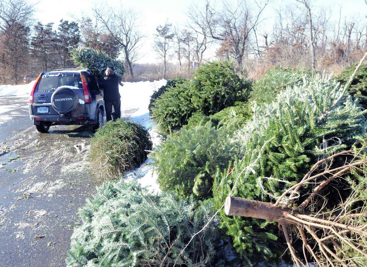 Christmas tree disposal in CT How to do it in your city or town