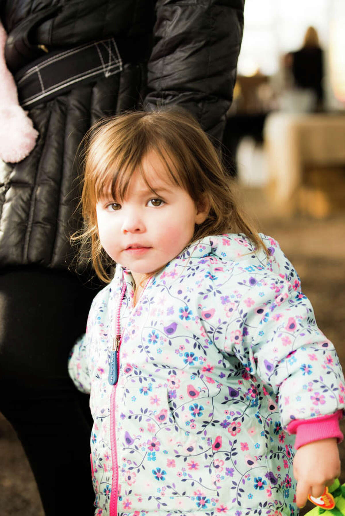 Were you SEEN buying local at the first Westport Winter Market of 2014?