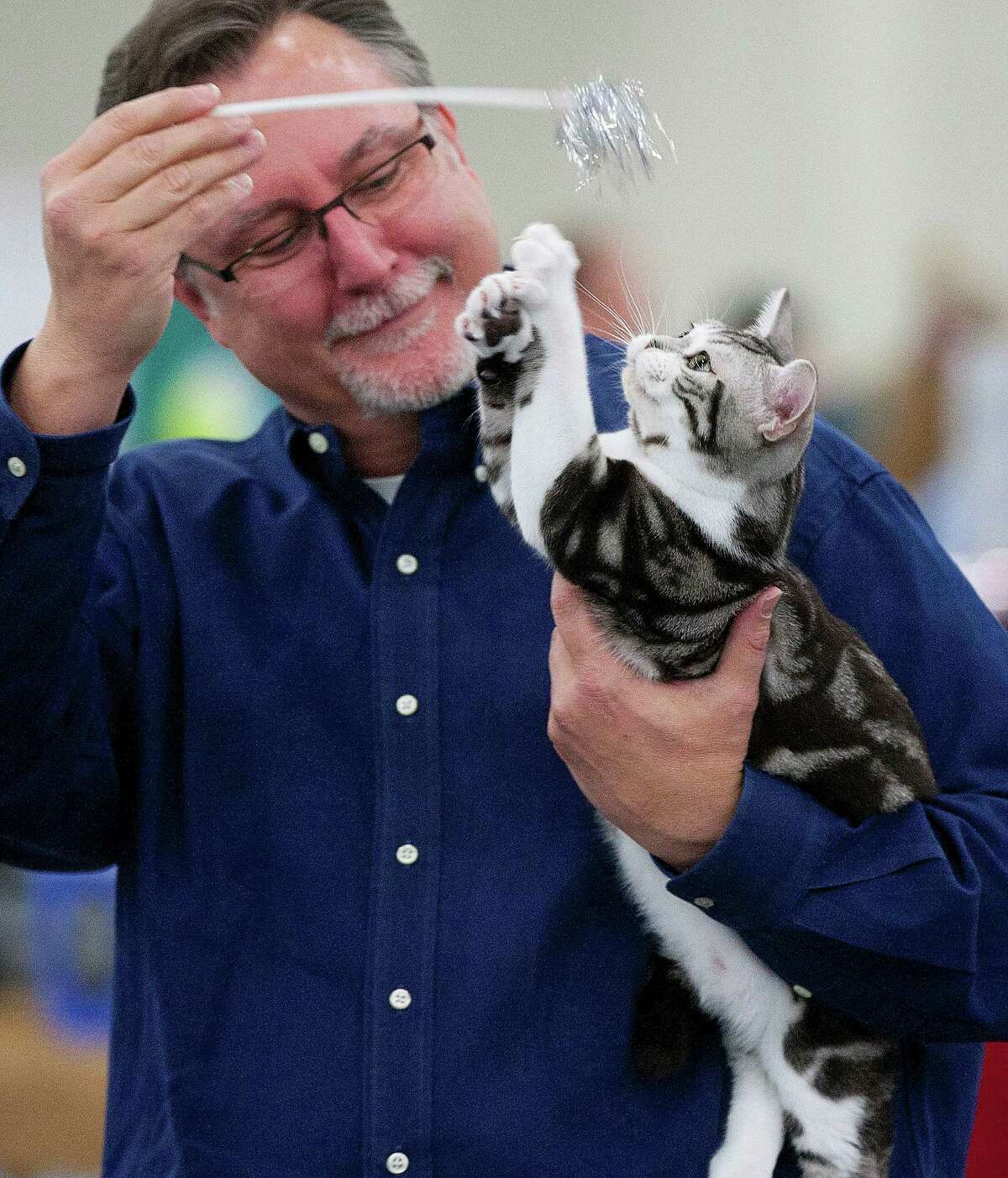 Houston Cat Show