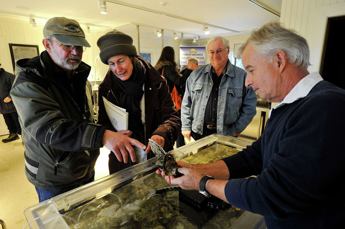 Visit the Bruce Museum 1 Museum Drive, Greenwich, CT 06830 Greenwich's Bruce Museum has permanent exhibits on geology, archeology, local Native Americans and the effects of man on the areas around Greenwich. Check their calendar for special exhibitions.