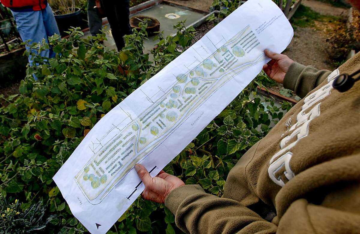 Gardener Kuan Wong looks over a conception of a proposed garden area along Brotherhood Way, while he works at the Brooks Park Community Garden on Tuesday Dec. 17, 2013, in San Francisco, Ca. In the quiet Oceanside neighborhood, on the western side of San Francisco, are two acres of open land on Brotherhood Way. Peter Vaernet has a mission: to turn the plot into the city?•s next thriving urban farm. Back in the 1980s, Vaernet and his neighbors led the revitalization of nearby Brooks Park and installed a small community garden there. It?•s so successful that Vaernet doesn?•t see why a bigger one on Brotherhood Way wouldn?•t take off, too. The need for fresh, organic fruits and vegetables is great, he says, since the area lacks major grocery stores and the elderly immigrants who reside there have a hard time driving to the closest ones.