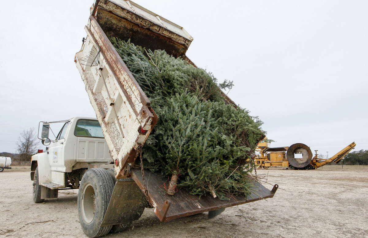 O' Christmas tree - recycled