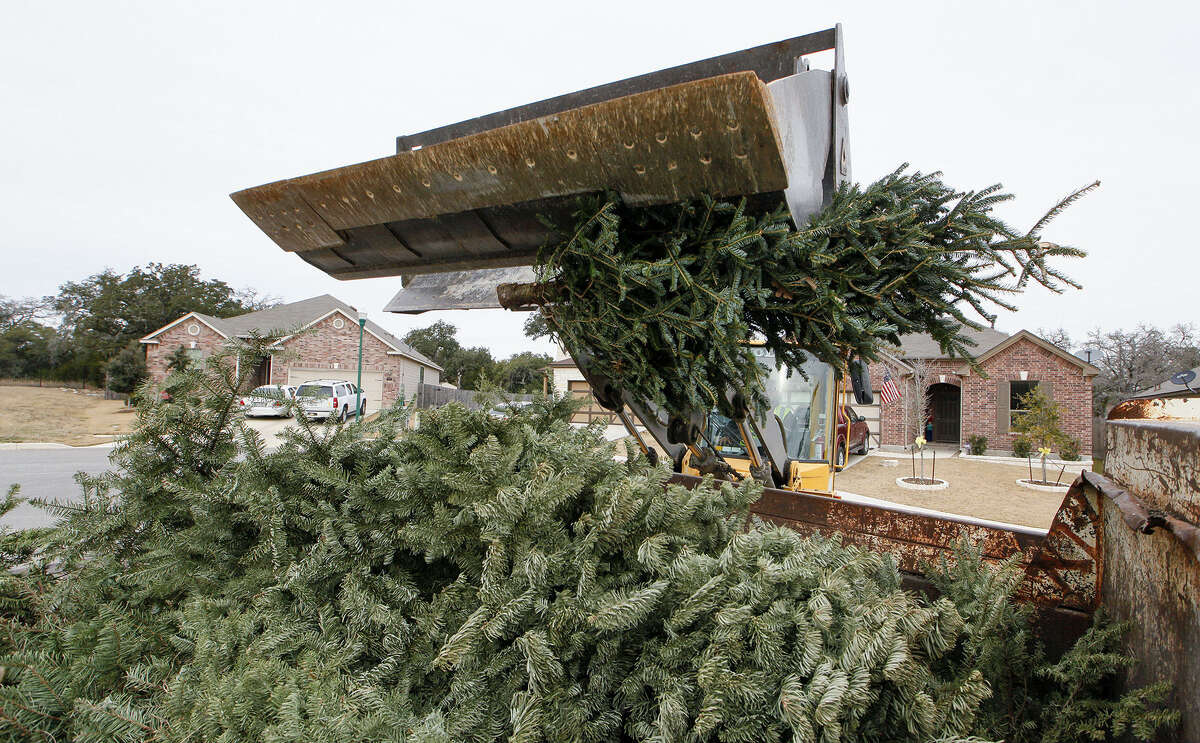 O' Christmas tree recycled