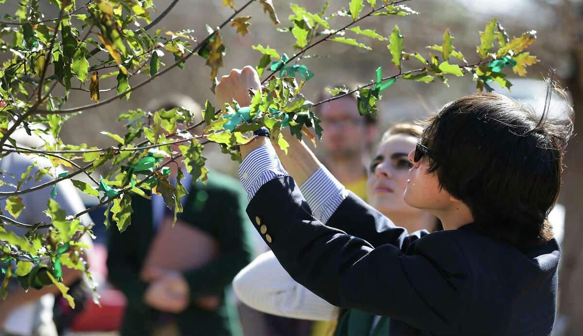 Jonathan Guajardo, Student Body President at The University of the Incarnate Word ties a gree ribbon of a tree planted in memory of fellow student Robert Cameron Redus who was fatally shot by a UIW officer. The school held a prayer service in honor of Redus. Monday, Jan. 13, 2013.
