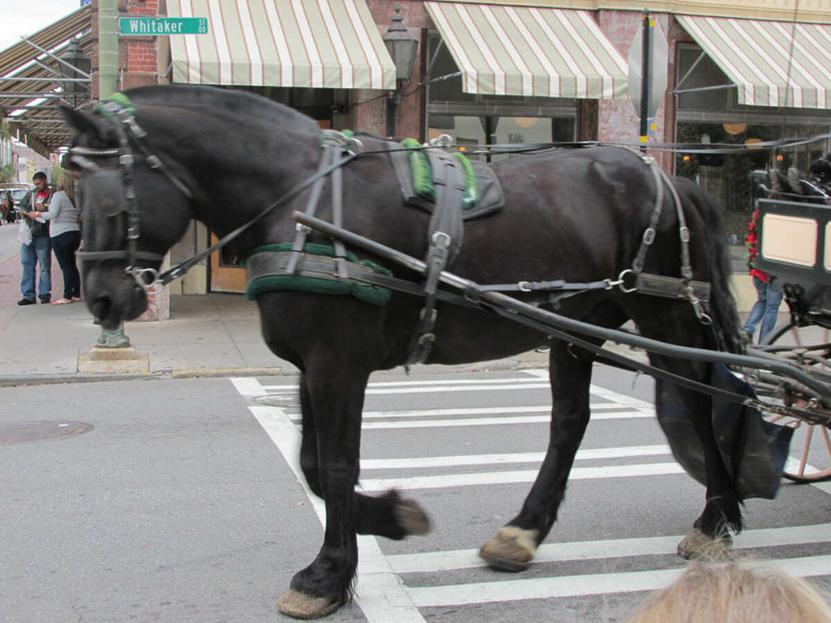 Photos: A tour of Historic Savannah