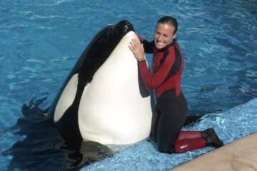 Ex-SeaWorld trainers dispute 'Blackfish,' say phase out whale show