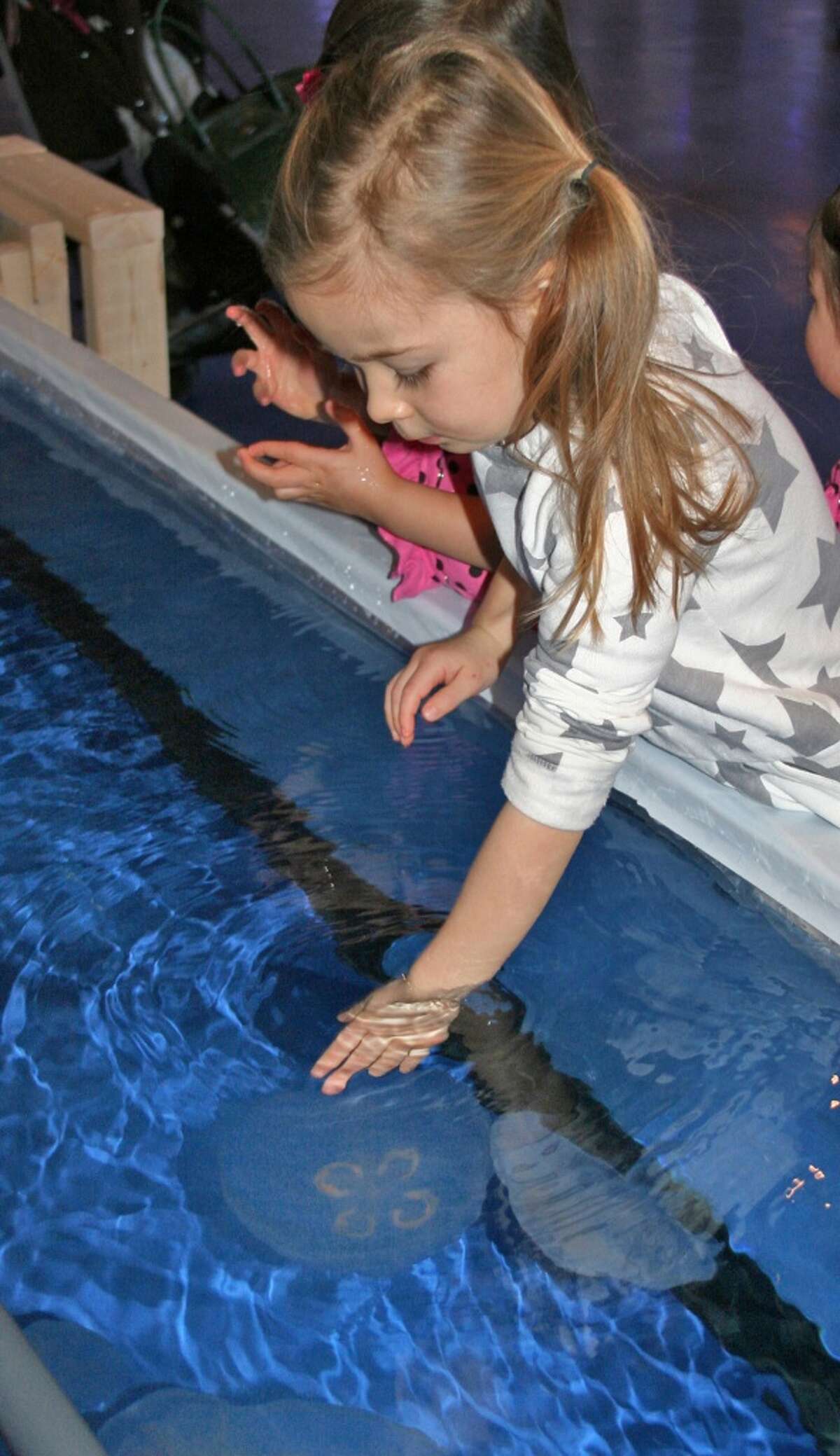 Make waves at the Maritime Aquarium 10 North Water St., Norwalk, CT 06854 The Maritime Aquarium has harbor seals, river otters, sharks, jellyfish, loggerhead turtles and hundreds of other animals, as well as an IMAX theater.
