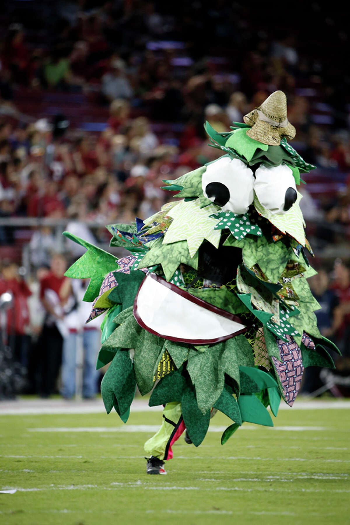 Man who portrayed Florida State mascot killed in argument over gumbo