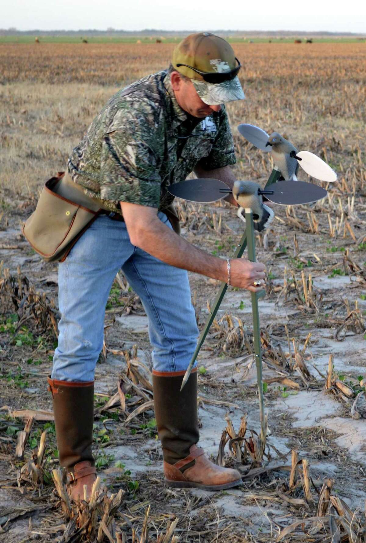 Late season dove hunt ends in whimper — not a bang