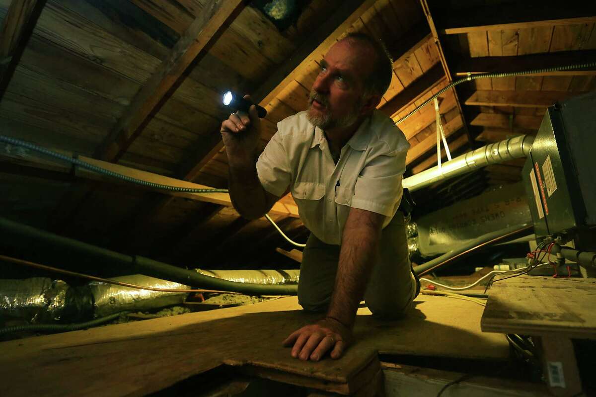 Scratching sounds in the attic? Oh, rats!