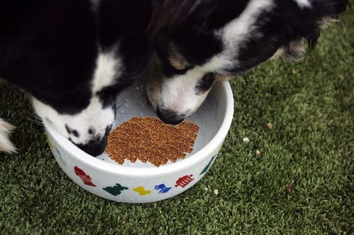 Tips for keeping rodents out of your home