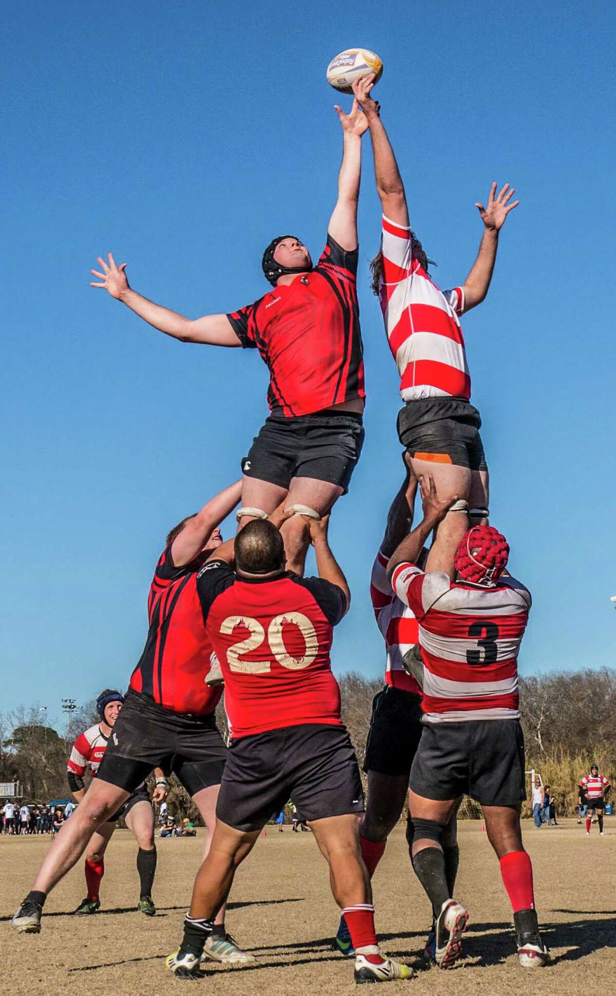 Sam Poindexter and Travis Martin fight for a line out - an inbounds play - during a scrimmage by the San Antonio Rugby Club. Photo by Joshua Trudell/For the Express-News