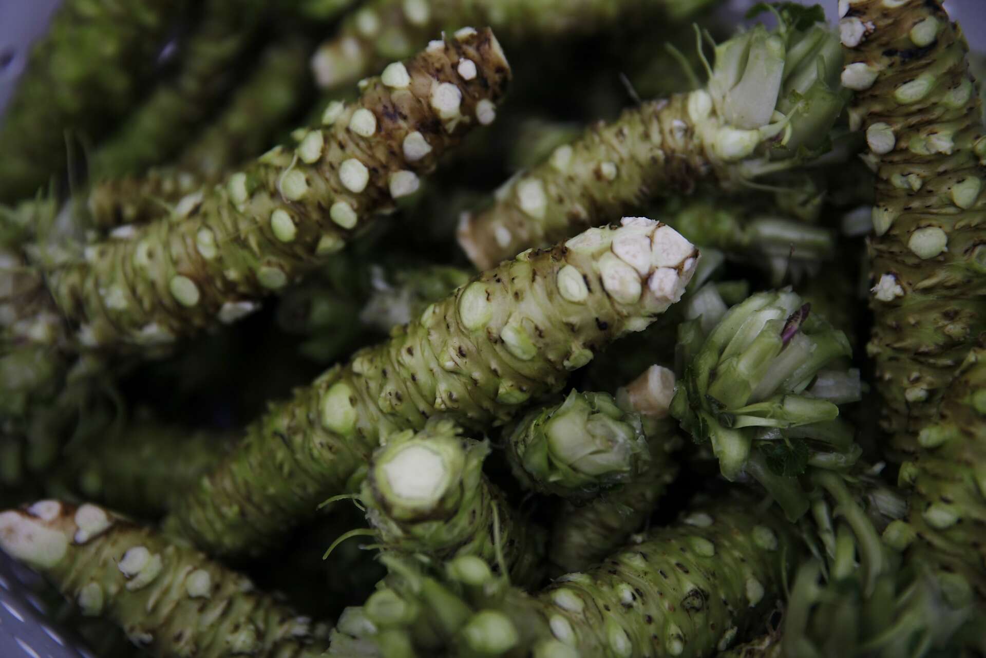 Half Moon Bay Wasabi Co. the product is a hot item