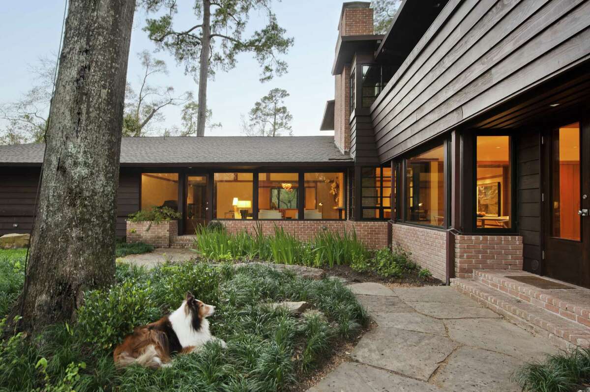 Wall-to-wall windows orient Ty and Lynn Kelly's River Oaks home toward the large backyard, as enjoyed by Lassie, their dog.