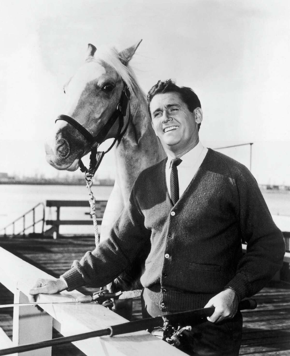 circa 1964: British-born actor Alan Young and Mr Ed, the talking horse, pose together in a promotional portrait for the television comedy series, 'Mr Ed'.