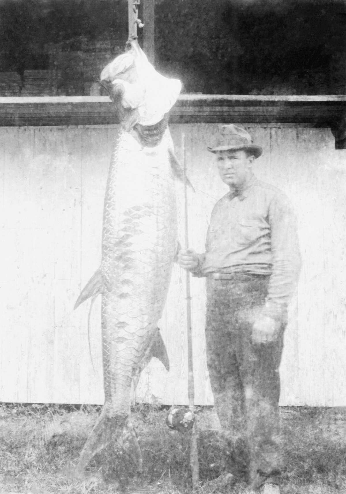An angler stands next to his catch, a 7 foot long tarpon caught near Palacios, Texas on September 3, 1923.