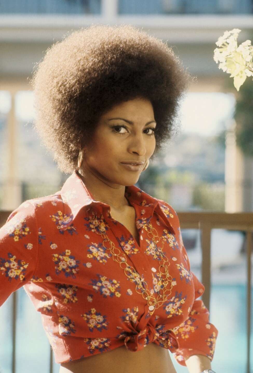 15 Actresses Who Could Play Pam Grier 5733