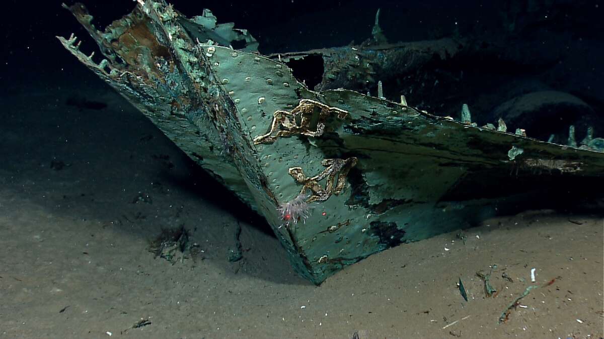 While most of the ship's wood has long since disintegrated, copper that sheathed the hull beneath the waterline as a protection against marine-boring organisms remains, leaving a copper shell retaining the form of the ship. The copper has turned green due to oxidation and chemical processes over more than a century on the seafloor. Oxidized copper sheathing and possible draft marks are visible on the bow of the ship. (Credit: NOAA Okeanos Explorer Program.)