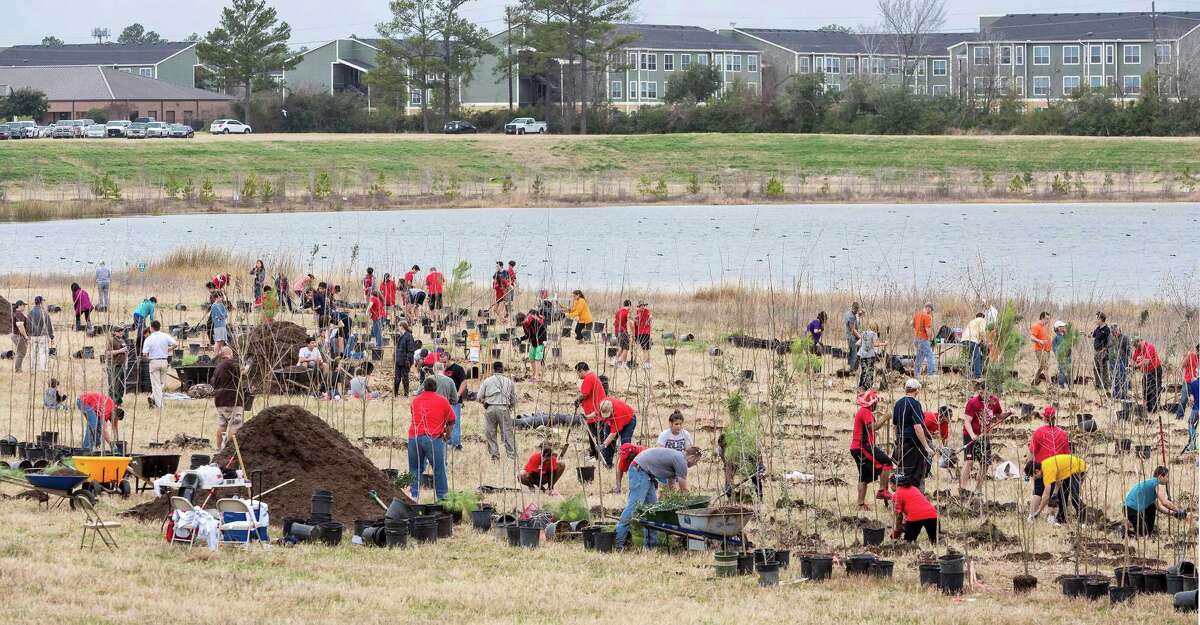 Going for the green Volunteer teams race to plant trees