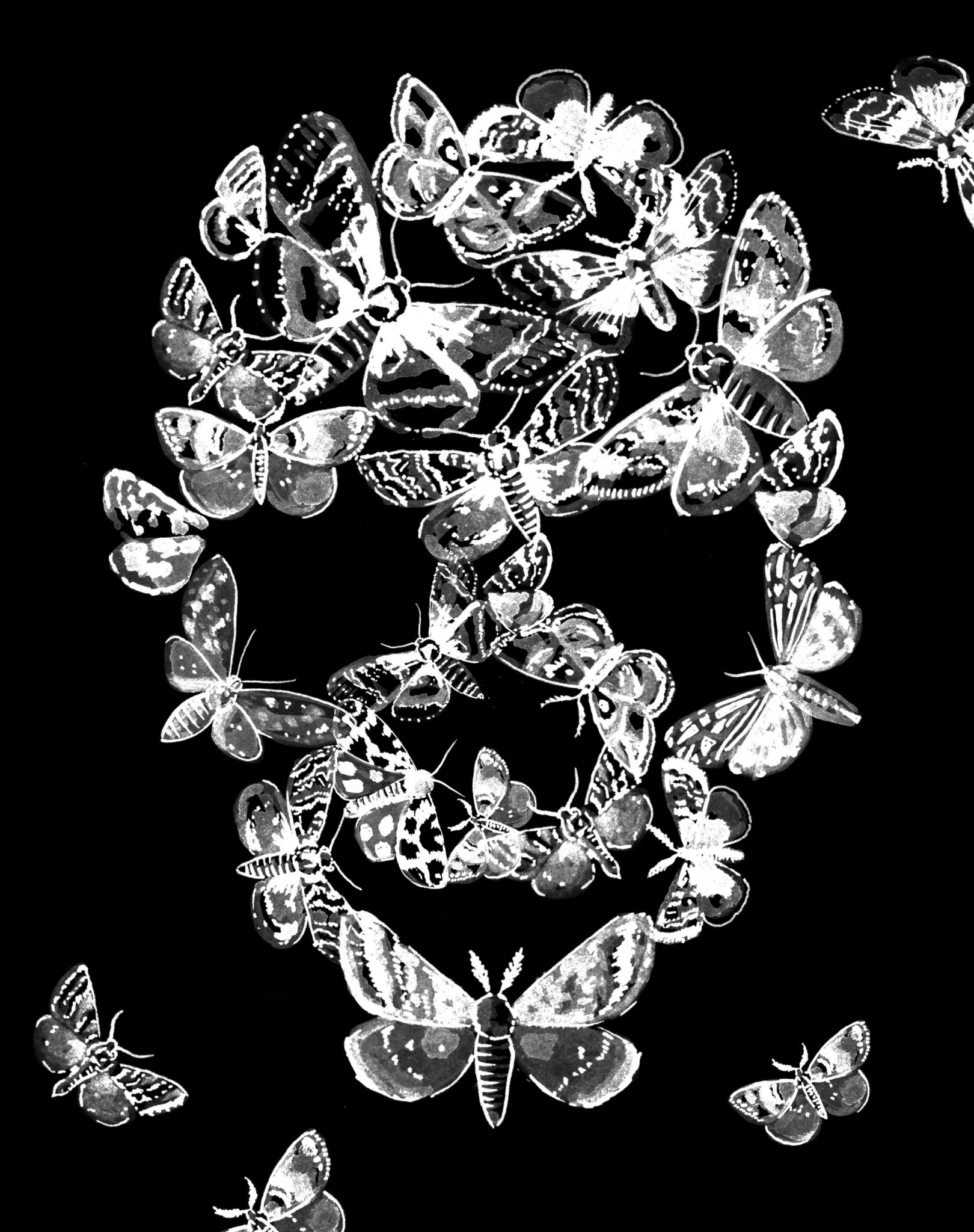 The Sixth Extinction by Elizabeth Kolbert The Sixth Extinction by Elizabeth Kolbert