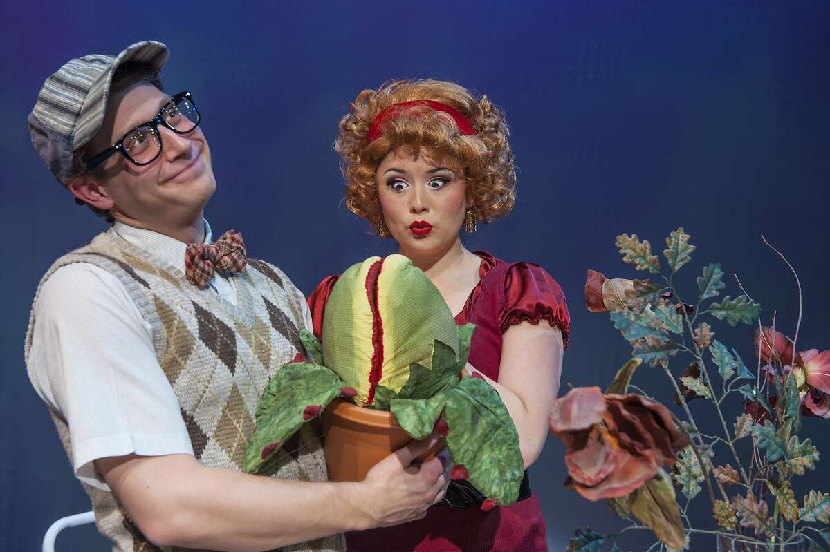 Seymour (Adam Cotugno) presents Audrey (Adrienne Walters) with the fateful plant Audrey II in Foothill Music Theatre's "Little Shop of Horrors"