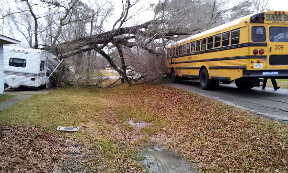 Trailer Breaks Fall Of Tree On Bisd School Bus