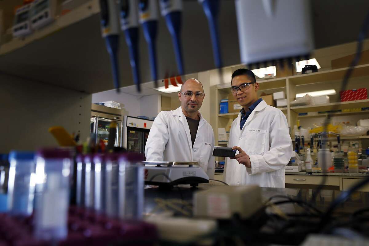 Jonathan Tang and Sylvain Costes, the co-founders of Exogen Biotechnology, in their Berkeley, Calif., company headquarters on Tuesday, February 11, 2014. They will be pitching their invention that analyzes DNA damage to the French president in San Francisco on Wednesday. DNA can be damaged by all kinds of factors â€” genetics, diet, exercise, exposure to ionizing radiation, environmental factors. The body loses its ability to repair DNA as you get older. Now, Lawrence Berkeley Laboratory scientists say they have come up with a way to quickly and reliably measure the level of DNA damage using blood samples.