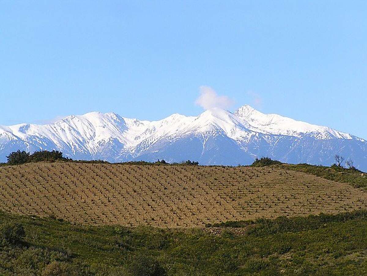 Vines planted on schist at Domaine Gauby, near Calce, France, in the Roussillon area. Mont Canigou, which reaches a peak of 2714m, is in the background.