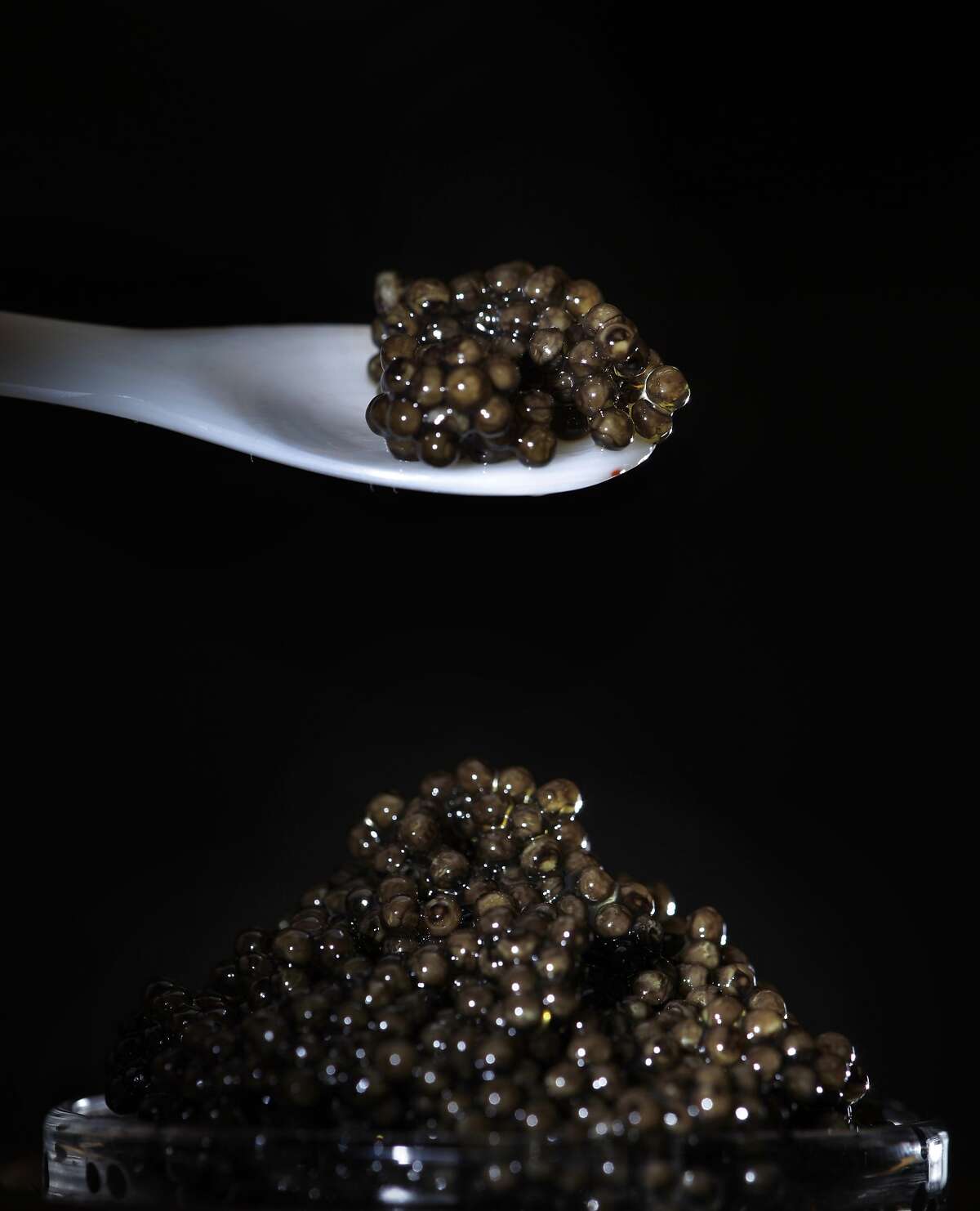 California Caviar Co.'s Sausalito tasting room one of a kind