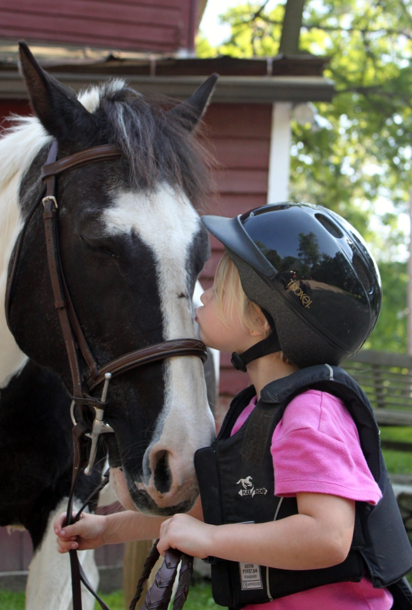 Capital Region Gives Little Brook Farm will head to final