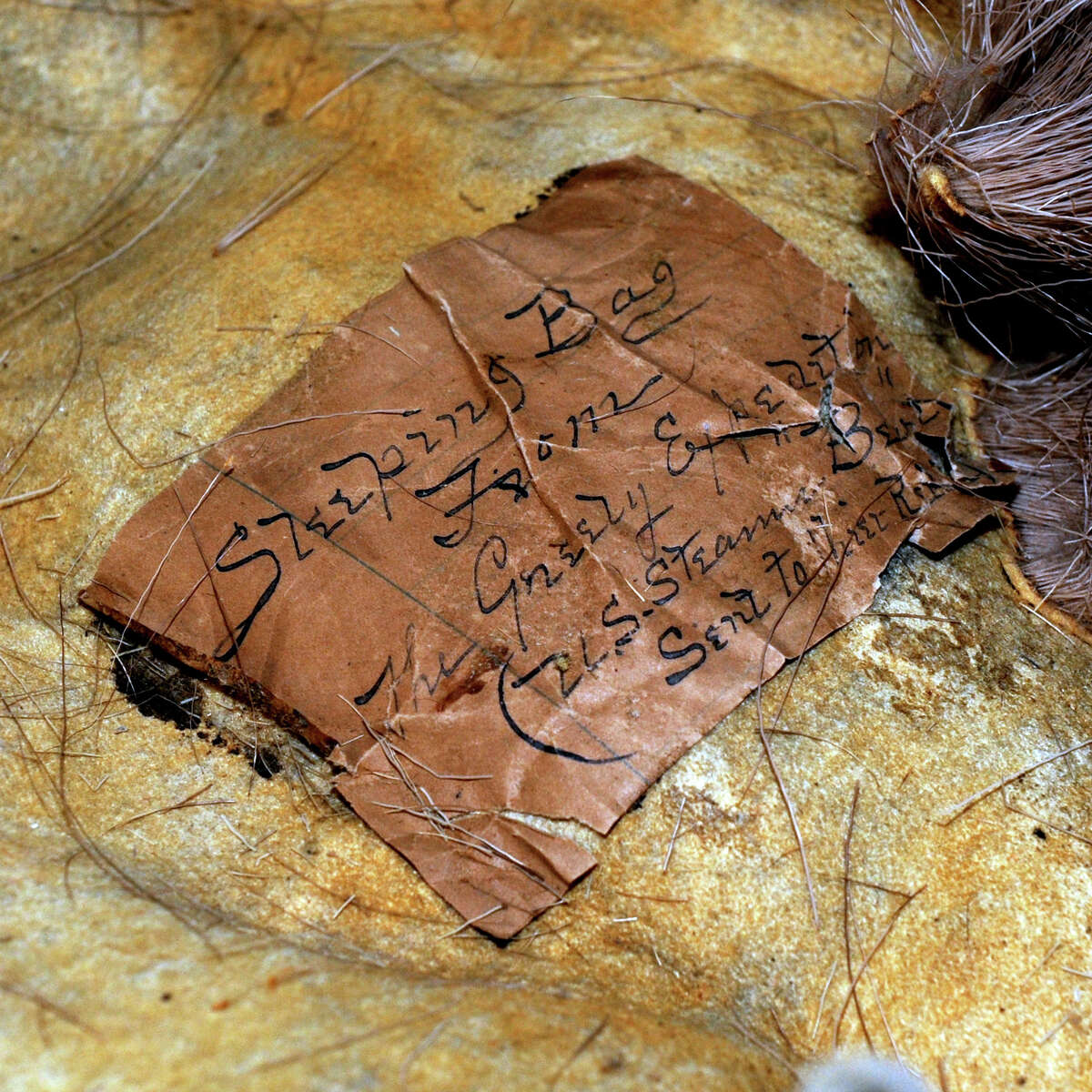A label sewn inside of an antique sleeping bag on display at the Barnum Museum, in Bridgeport, Conn. Feb. 14, 2014. The sleeping bag dates back to 1884, when it was used during a the rescue of The Greely Expedition. The ill-fated arctic expedition was led by Adolphus Greely.