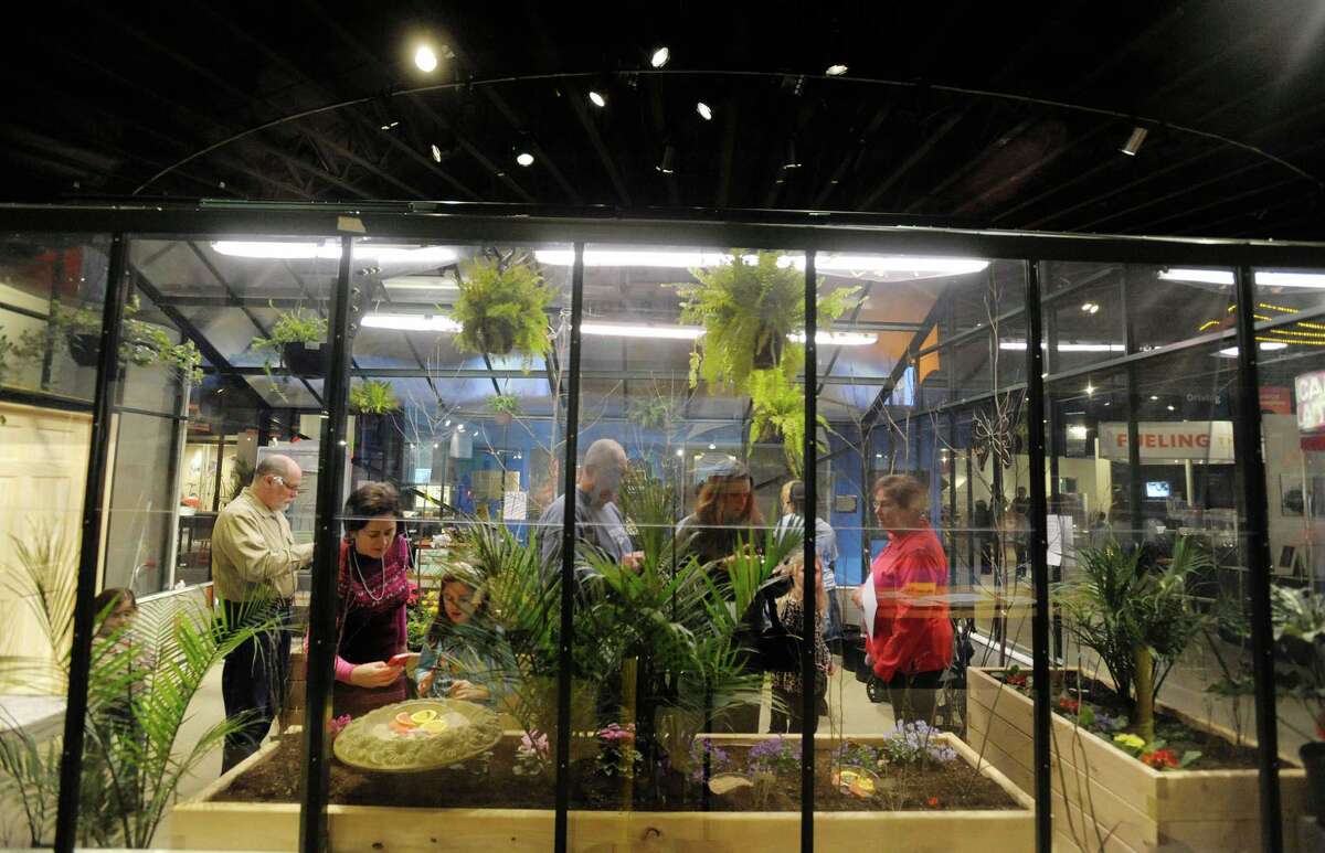 Photos Schenectady's miSci hosts butterflies