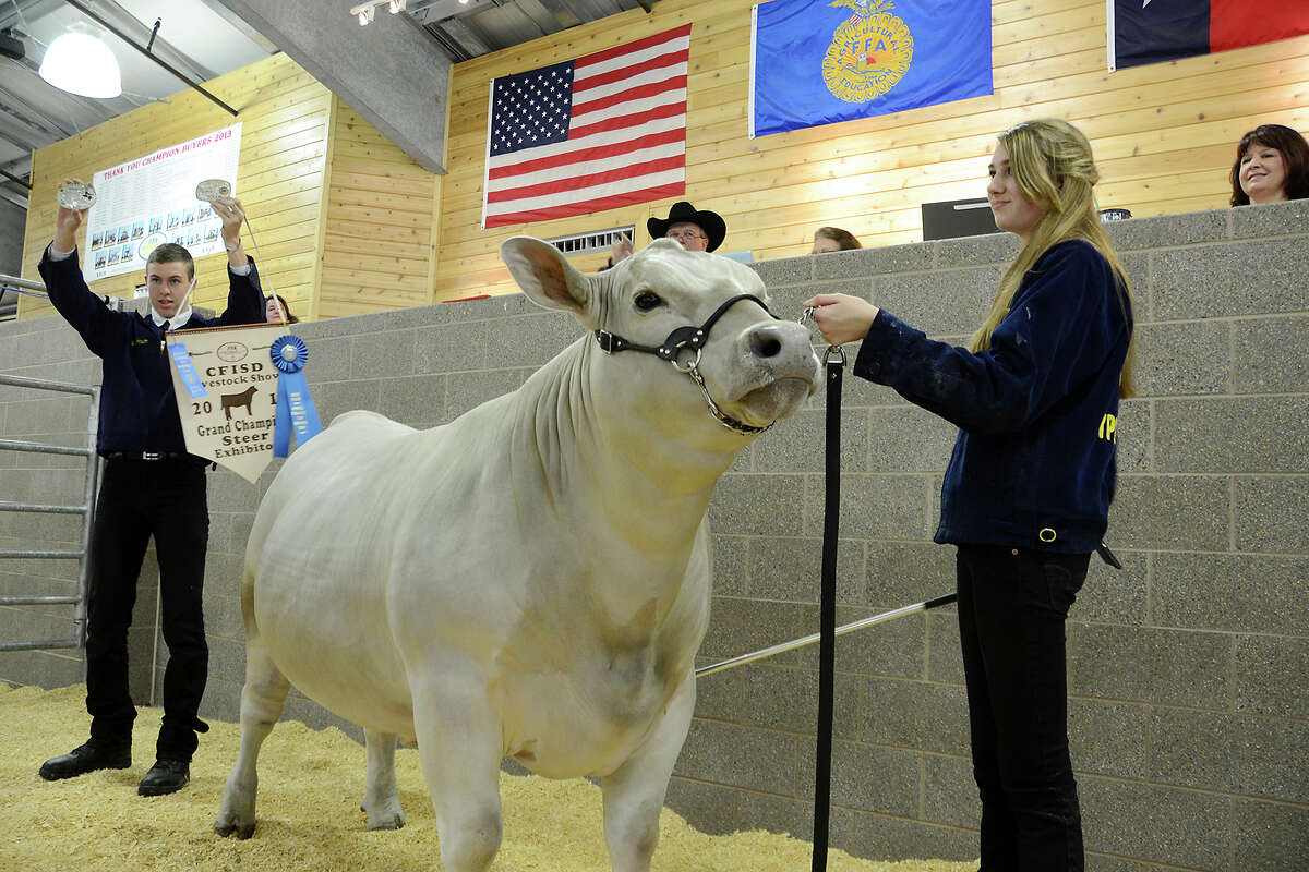 Cy-fair Livestock Show Raises Almost 800000