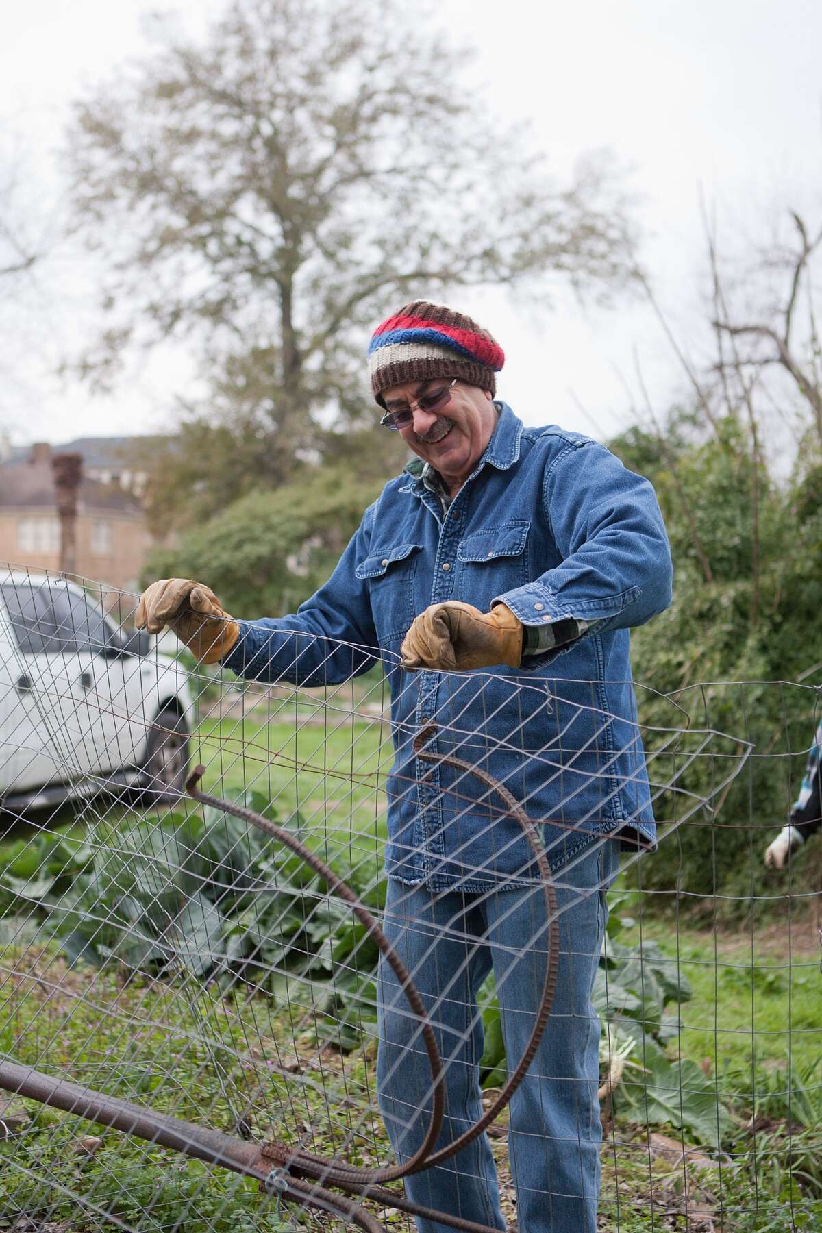 Skip Almoney dismantles a plant cage at the community garden at Mandell Park. The garden and park are slated for renovation.