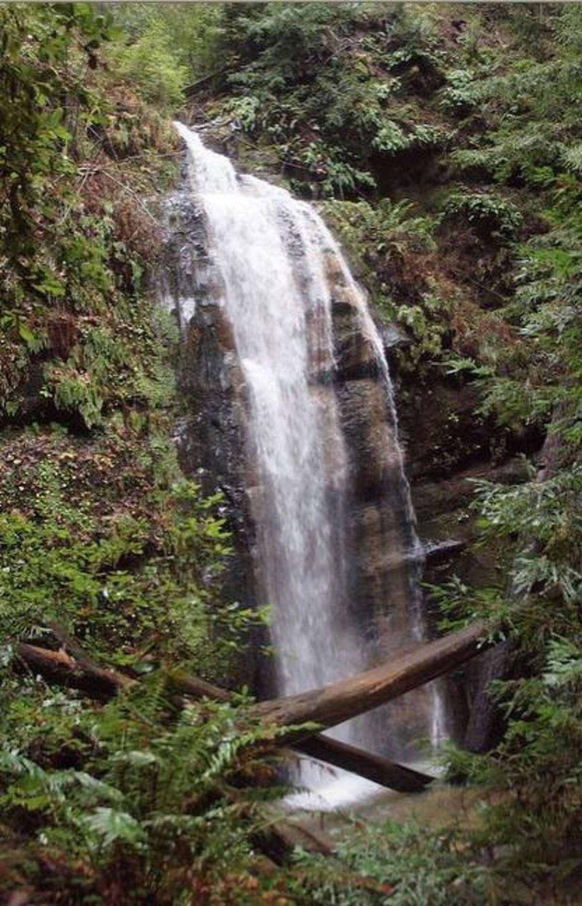 February rains brings region's waterfalls to life