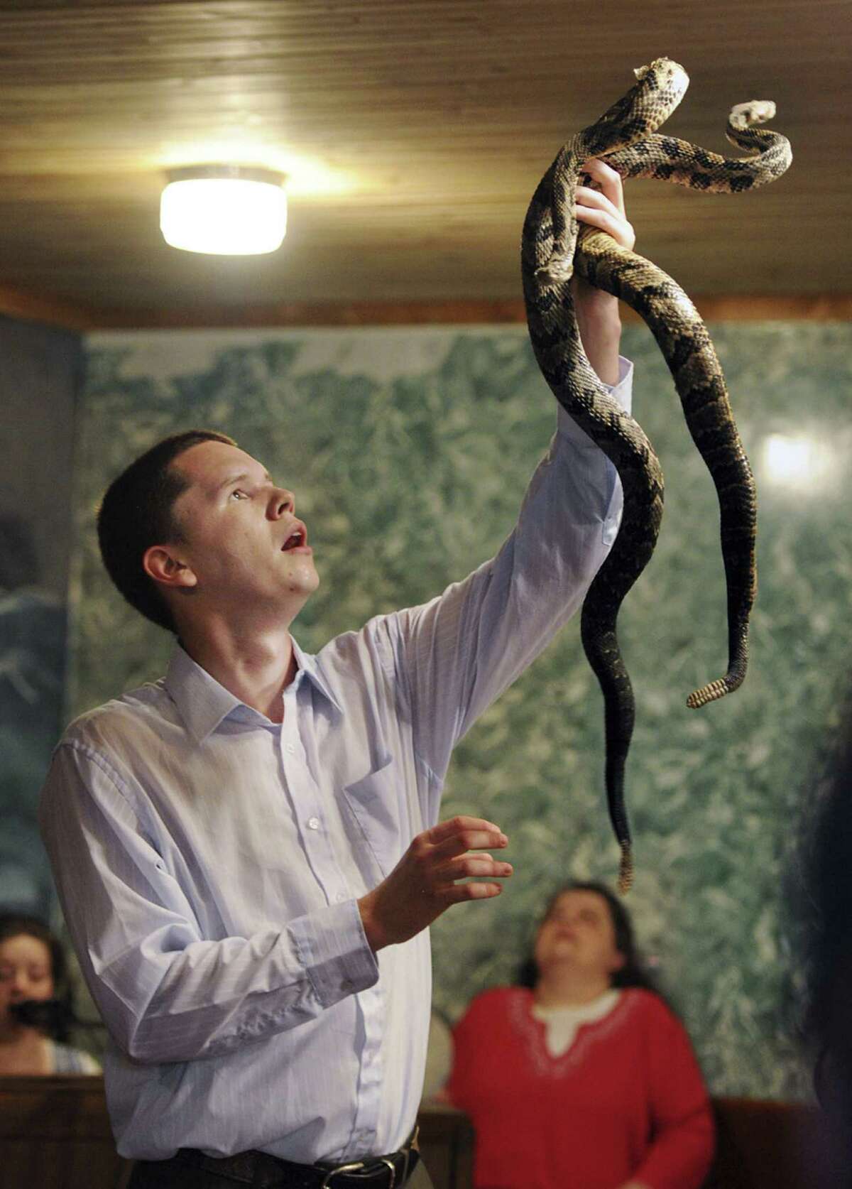 Texas Poison Center Network has handled almost 20 rattlesnake bite calls this summer, a slight rise from last year's bite figures. The network tackled 18 rattlesnake bite calls in June and July, The Amarillo Globe-News reported. That's up from last year, Rhonica Farrar, community outreach specialist for Texas Panhandle Poison Cente told the Globe-News, when authorities recorded 15. Pictured, Andrew Hamblin, pastor of Tabernacle Church of God in LaFollette, Tenn., holds up rattlesnakes during a service in 2012.