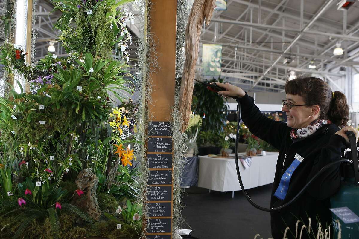 Pacific Orchid Exposition features flowers across the globe